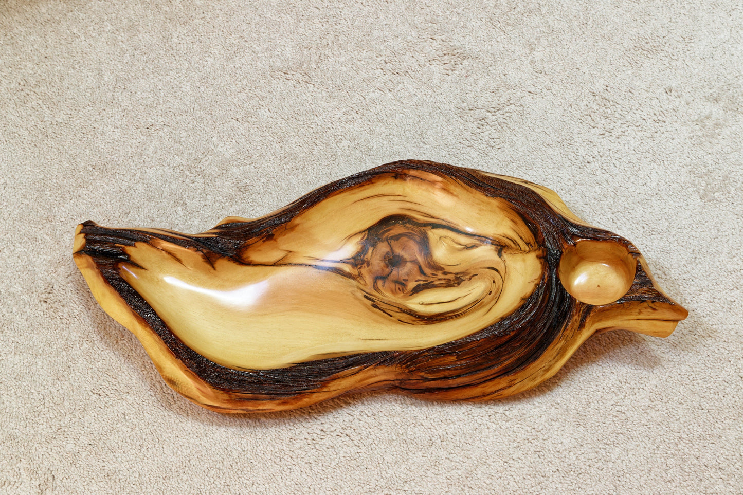 arched wood platter bowl, one of a kind exotic 25", tabletop sculpture, rustic, refined, asymmetric, live wood, 25.5 x 11.5 x 3.25", 334-A