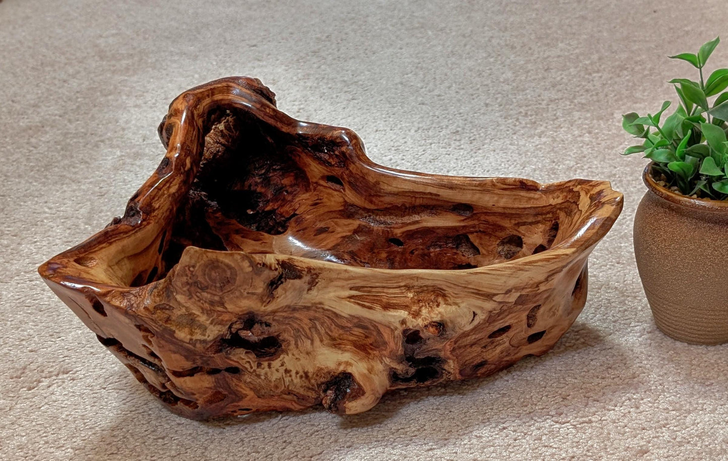 buggy bowl with holes, unique exotic wood, bowl sculpture, rich natural color, 6.5"Tx14x11, Wabi Sabi, one-of-a-kind, asymmetric, 622-A