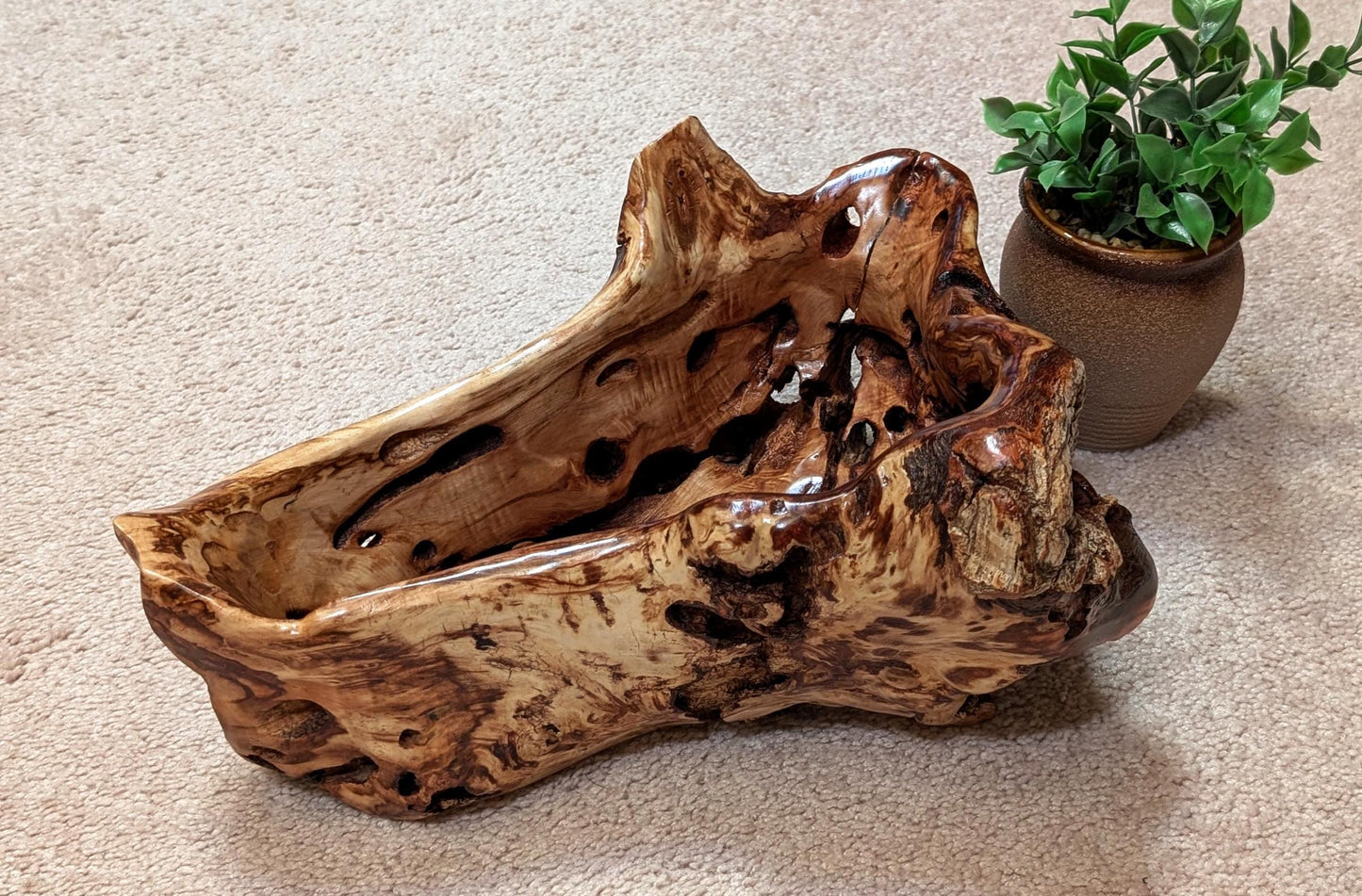 buggy bowl with holes, unique exotic wood, bowl sculpture, rich natural color, 6.5"Tx14x11, Wabi Sabi, one-of-a-kind, asymmetric, 622-A