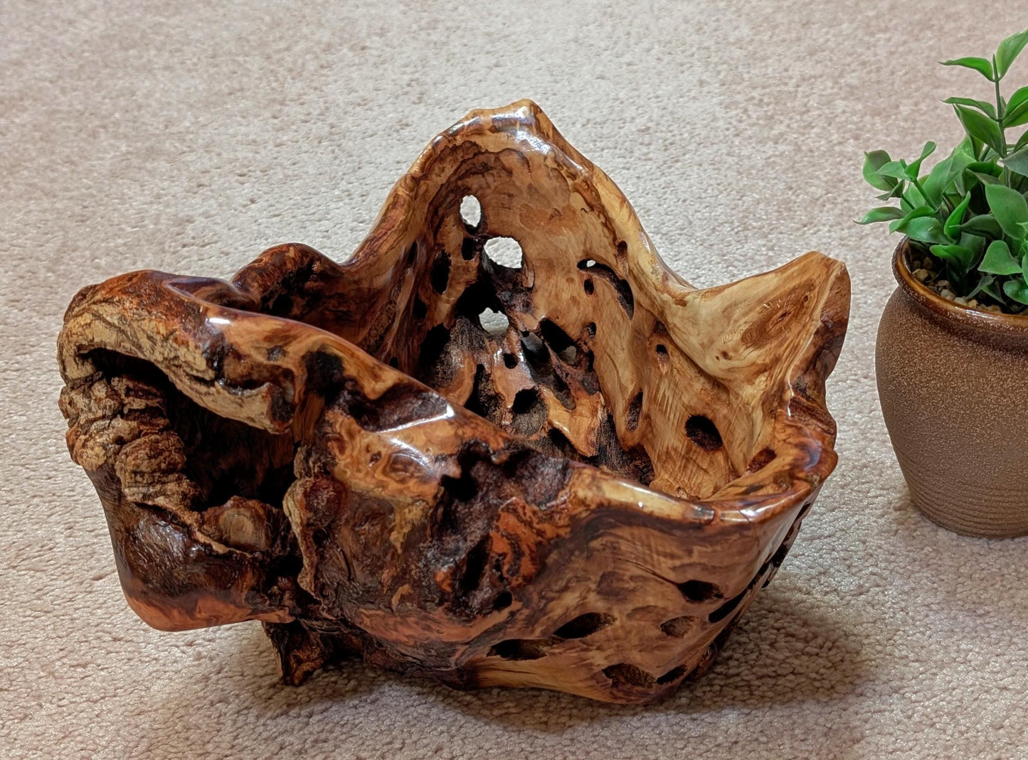 buggy bowl with holes, unique exotic wood, bowl sculpture, rich natural color, 6.5"Tx14x11, Wabi Sabi, one-of-a-kind, asymmetric, 622-A