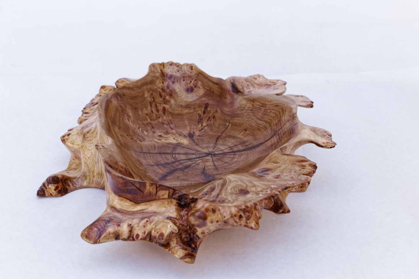 Siberian black elm shallow burl bowl, irregular platter, wall hanging, tabletop sculpture, live edge bark, 2.75"T x 15L, Wabi Sabi, 312-E3