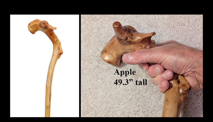 Walking Sticks & Canes...