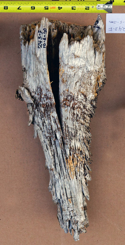unique wood vase or tabletop sculpture, one-of-a-kind, freeform sculpture, 17 inches tall x 7 x 5, 4 lbs, upcycled, Wabi Sabi, wooden, 243-F