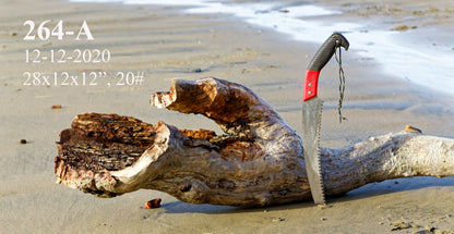 Exotic decorative driftwood vase & floor tabletop sculpture, 28" tall x 11" wide, wooden vase, wood, unique, free form sculpture, vase 264-A
