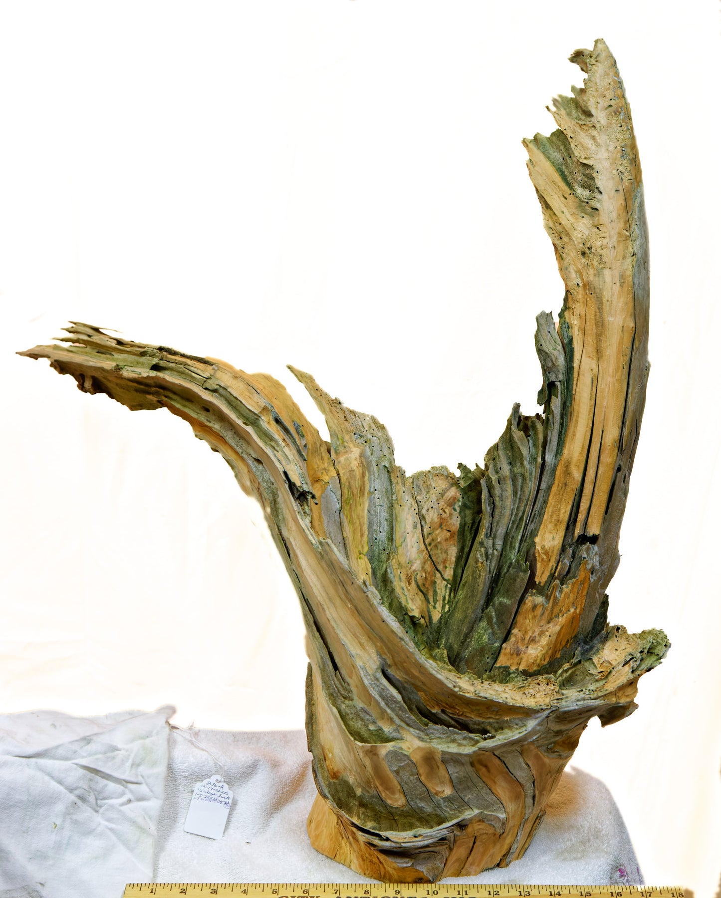 driftwood planter vase 26 inches tall, sprawling arms, root of unknown old growth tree, rustic natural, Wabi Sabi, smooth, thick and thin, one of a kind, unique, exotic, organic, natural, salvaged wood, recycled wood, reclaimed wood, 276-A