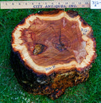prickly bowl, irregular burl wood bowl sculpture golden brown, spines thorns, 12.5" tall x 12" wide x 10" deep, rich grain and burl patterns, 100% unique, 312-H