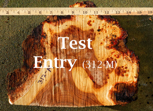 TEST platter for website, raw, 12x10x3, Siberian black elm 7-22-2025, 312-M