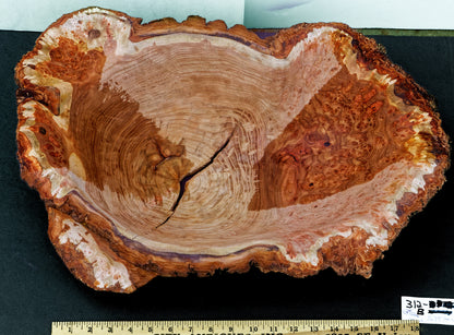 Large live edge burl wood bowl sculpture golden brown, bark, 27” x 14”x 5.5”, rich grain and burl patterns, 100% unique, Siberian black elm, 312-B Black elm burl bowl #2, Robert C Paulson Jr
