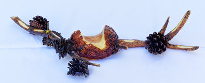 natural wall hanging or tabletop art, Lodgepole pine gall with pine cones 14.5" x 5.5" x 2.5", 284-A