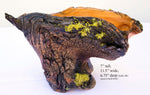 Natural rustic asymmetric wood bowl sculpture, old growth Ponderosa pine, live edge bark, 7" tall, 11.5 long, 6.75 wide, decorative, 299-a