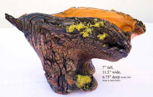Natural rustic asymmetric wood bowl sculpture, old growth Ponderosa pine, live edge bark, 7" tall, 11.5 long, 6.75 wide, decorative, 299-a