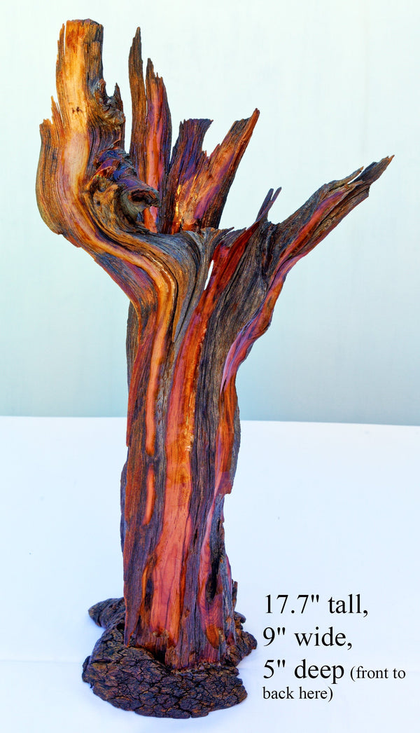 Wood vase, flared branching top, Wabi Sabi, brown maroon gold, asymmetric, upcycled, 18 inches tall x 9 x 5, 223-A