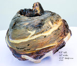 Large rustic covered cover wood wooden bowl brown golden gold bark live edge legs irregular, 9.5 x 14 x 12.5’’ handmade Robert C Paulson Jr, 224-A