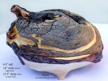 Large rustic covered cover wood wooden bowl brown golden gold bark live edge legs irregular, 9.5 x 14 x 12.5’’ handmade Robert C Paulson Jr, 224-A