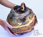 Large rustic covered cover wood wooden bowl brown golden gold bark live edge legs irregular, 9.5 x 14 x 12.5’’ handmade Robert C Paulson Jr, 224-A