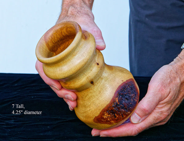 Wood vase sculpture, golden brown, live edge bark, lathe, container, vessel 7” tall, 4.25” wide”, lathe vase, by Robert C Paulson Jr