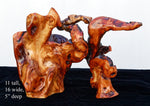 Conifer tabletop root sculpture 4, Douglas fir roots, 11 tall, 16 wide, 5 deep, 4.5 lbs, Wabi Sabi wabi-sabi one-of-a-kind, asymmetric, 324-A