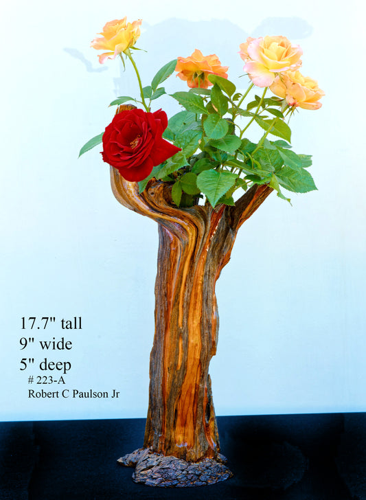 Wood vase, flared branching top, Wabi Sabi, brown maroon gold, asymmetric, upcycled, 18 inches tall x 9 x 5, 223-A