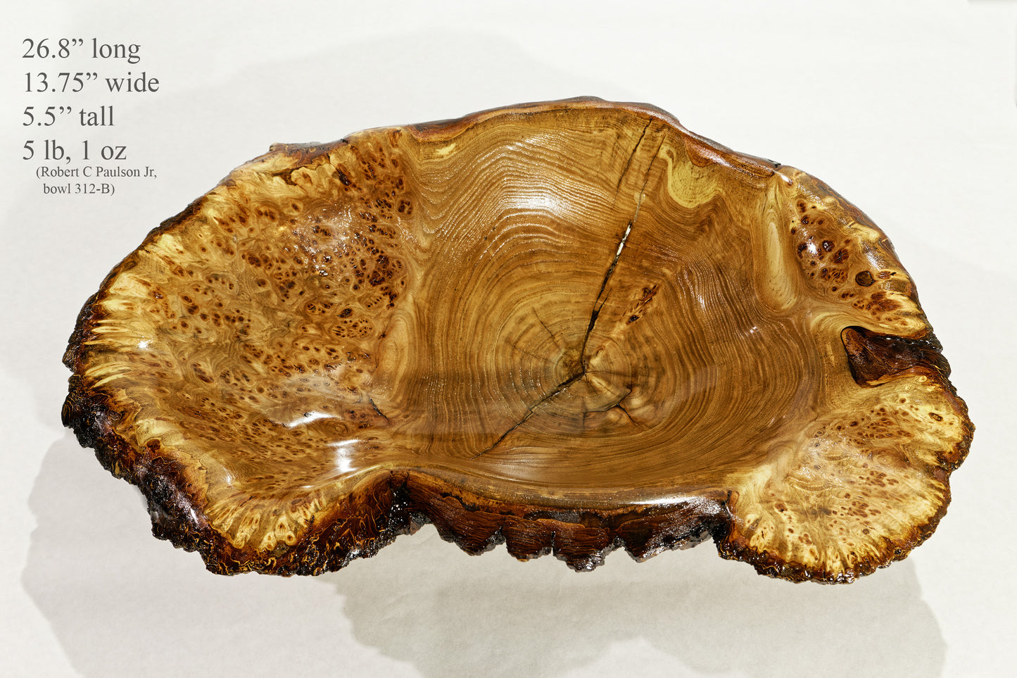 Large live edge burl wood bowl sculpture golden brown, bark, 27” x 14”x 5.5”, rich grain and burl patterns, 100% unique, Siberian black elm, 312-B Black elm burl bowl #2, Robert C Paulson Jr