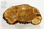 Large live edge burl wood bowl sculpture golden brown, bark, 27” x 14”x 5.5”, rich grain and burl patterns, 100% unique, Siberian black elm, 312-B Black elm burl bowl #2, Robert C Paulson Jr, 312-B