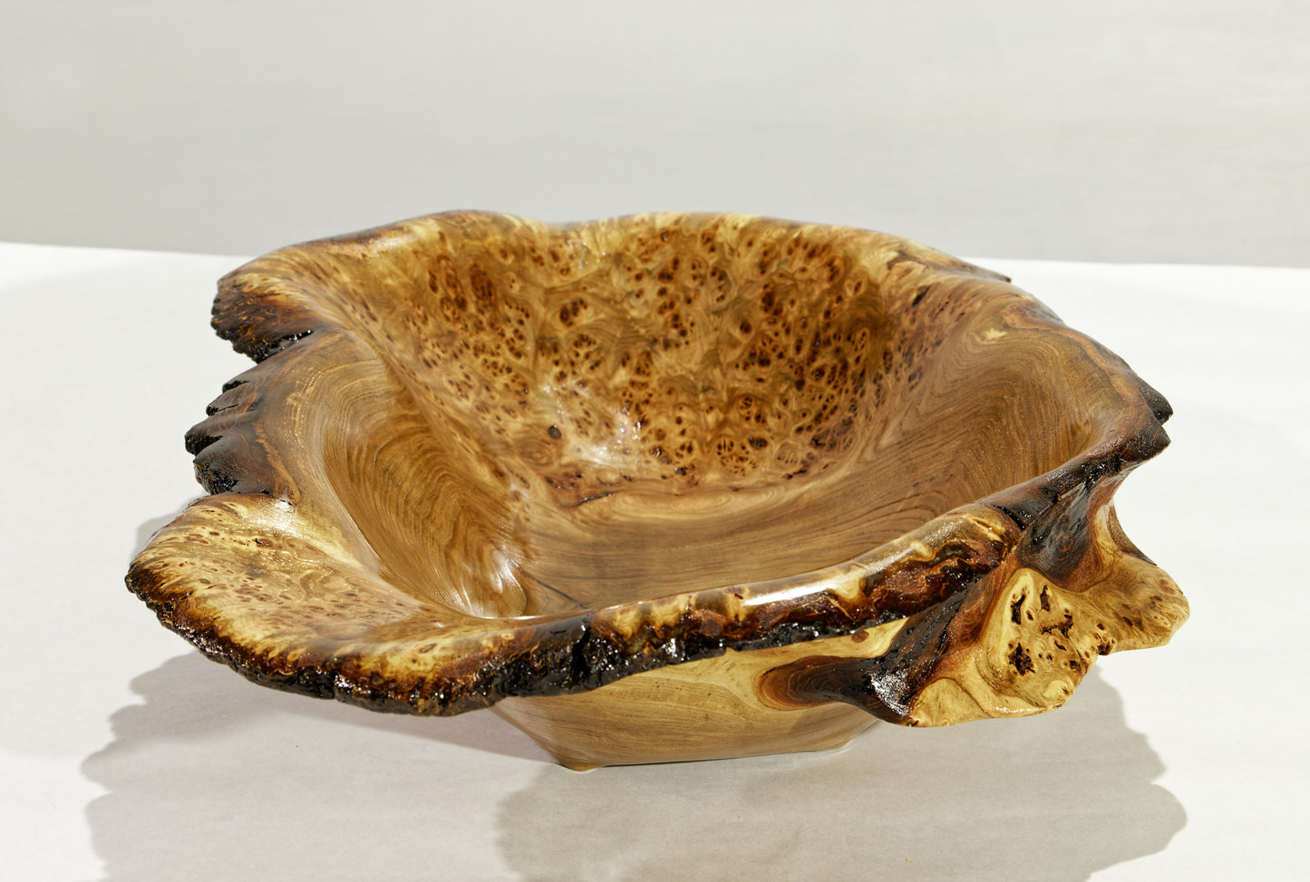 Large live edge burl wood bowl sculpture golden brown, bark, 27” x 14”x 5.5”, rich grain and burl patterns, 100% unique, Siberian black elm, 312-B Black elm burl bowl #2, Robert C Paulson Jr