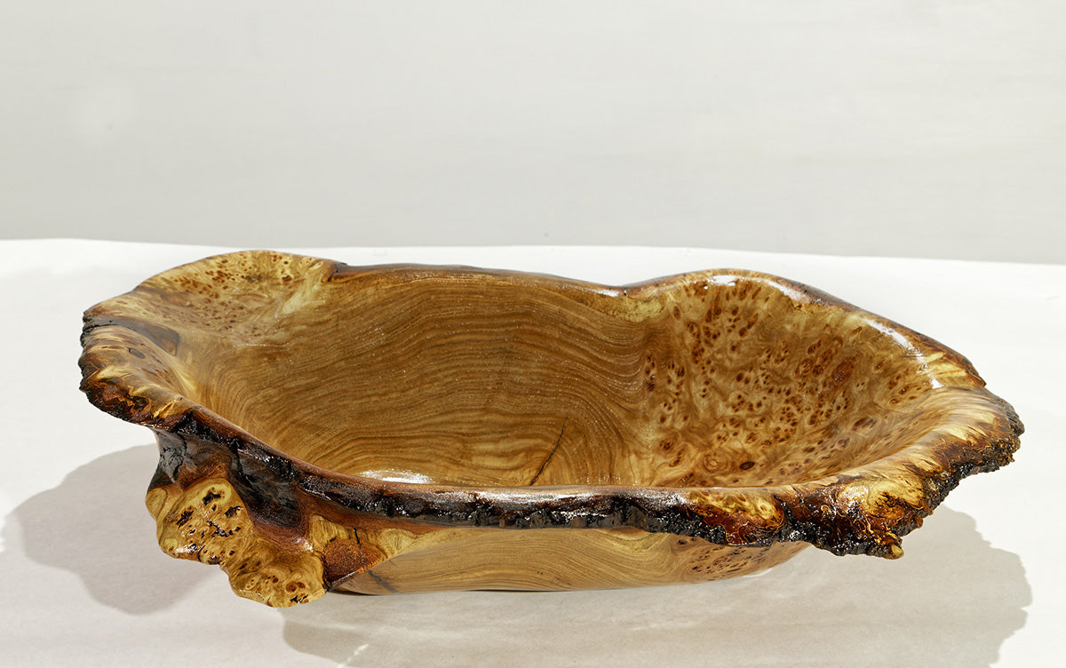 Large live edge burl wood bowl sculpture golden brown, bark, 27” x 14”x 5.5”, rich grain and burl patterns, 100% unique, Siberian black elm, 312-B Black elm burl bowl #2, Robert C Paulson Jr