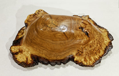 Large live edge burl wood bowl sculpture golden brown, bark, 27” x 14”x 5.5”, rich grain and burl patterns, 100% unique, Siberian black elm, 312-B Black elm burl bowl #2, Robert C Paulson Jr