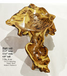 elongated natural brown gold maroon wood burl bowl, Black Elm 23.5" long , Wabi Sabi, live edge, irregular, food safe, rustic refined, 312-V