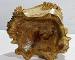 prickly bowl, irregular burl wood bowl sculpture golden brown, spines thorns, 12.5" tall x 12" wide x 10" deep, rich grain and burl patterns, 100% unique, 312-H