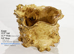 prickly bowl, irregular burl wood bowl sculpture golden brown, spines thorns, 12.5" tall x 12" wide x 10" deep, rich grain and burl patterns, 100% unique, 312-H