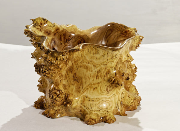 prickly bowl, irregular burl wood bowl sculpture golden brown, spines thorns, 12.5" tall x 12" wide x 10" deep, rich grain and burl patterns, 100% unique, 312-H