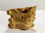 prickly bowl, irregular burl wood bowl sculpture golden brown, spines thorns, 12.5" tall x 12" wide x 10" deep, rich grain and burl patterns, 100% unique, 312-H