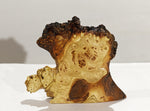 heart sculpture 9 inch, wood heart, desktop tabletop sculpture, live edge bark, 7.75" tall x 9.5 x 1.75, Wabi Sabi, figured wood, 312-M,