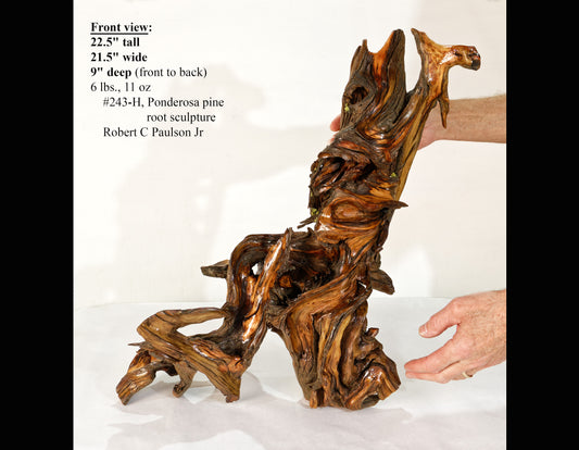 Rustic tabletop wood sculpture décor, conjoined roots, 22 x 21 x 9, decorative mantel sculpture, Ponderosa, lodge cabin décor, brown, 243-H