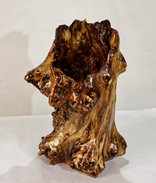 Wood basket, planter container, exotic, knobby golden brown black, unique decorative wood, rustic wood vase sculpture, asymmetrical basket, 19”, 309-A
