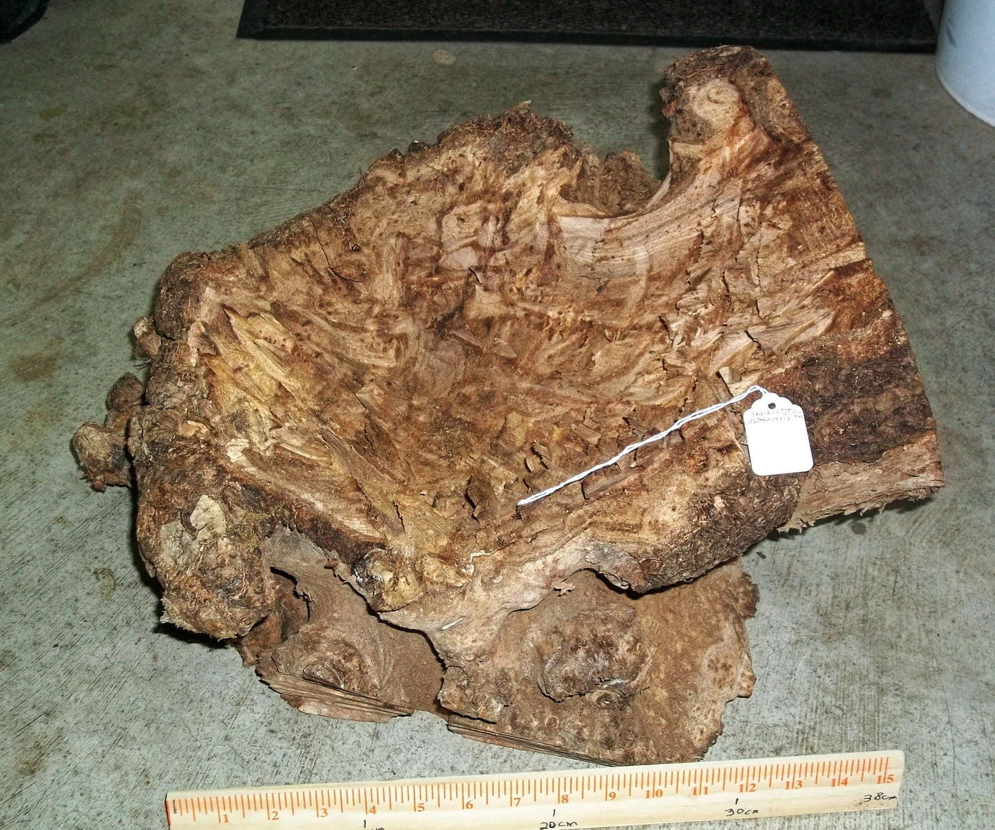 Burl wood bowl sculpture, bark, brown, maroon tinges, live edge, 14.5" long, 13 wide, 10 tall, 5# 11 oz, rich grain figuring, unique, 312-E1
