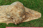 Wood bowl, large exotic bowl, walnut burl, figured fancy wood, designer bowl, best decor, curves, 8 inch tall, 10.5 wide, 25 long, 5 lbs, 9 oz, asymmetric