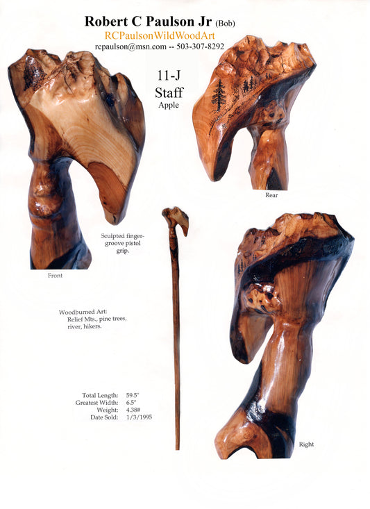 Staff & Hiking Walking Stick 11-J
