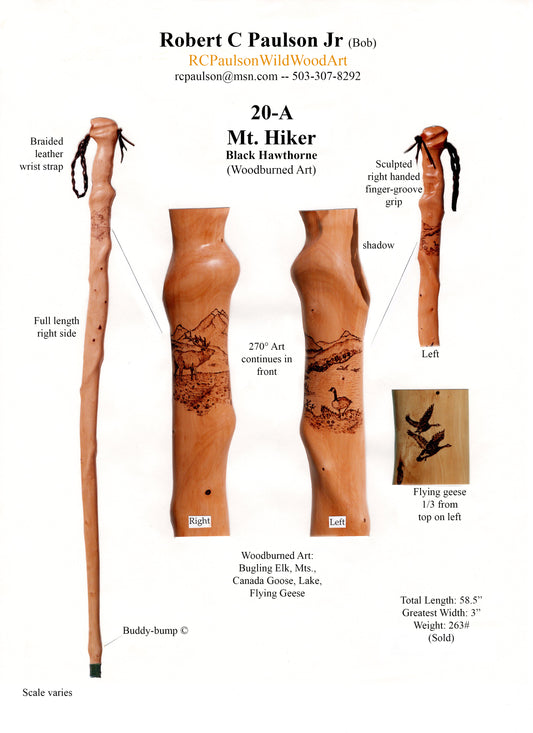 Black hawthorn hiking / walking stick with intricate wood burned mountain scenes 20-A