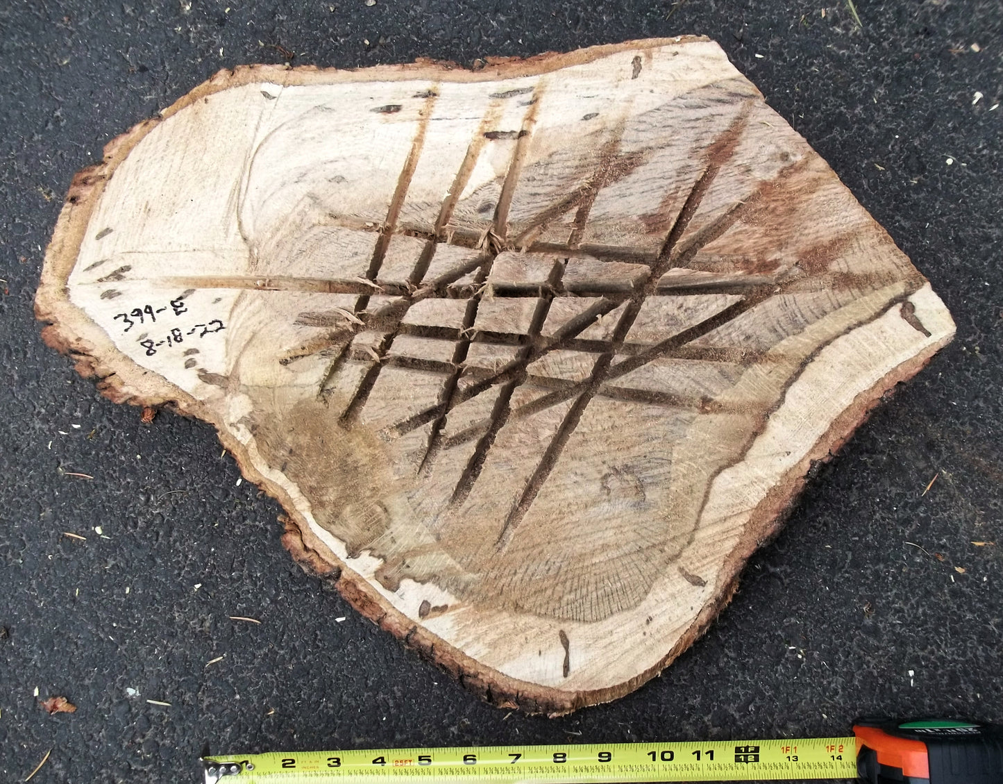 oak wood platter, tabletop sculpture, exotic live edge bark, 17 x 14 x 2.5 inches tall, 2 lbs., 12 oz, upcycled, irregular, Wabi Sabi, 399-E