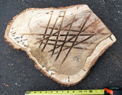 oak wood platter, tabletop sculpture, exotic live edge bark, 17 x 14 x 2.5 inches tall, 2 lbs., 12 oz, upcycled, irregular, Wabi Sabi, 399-E
