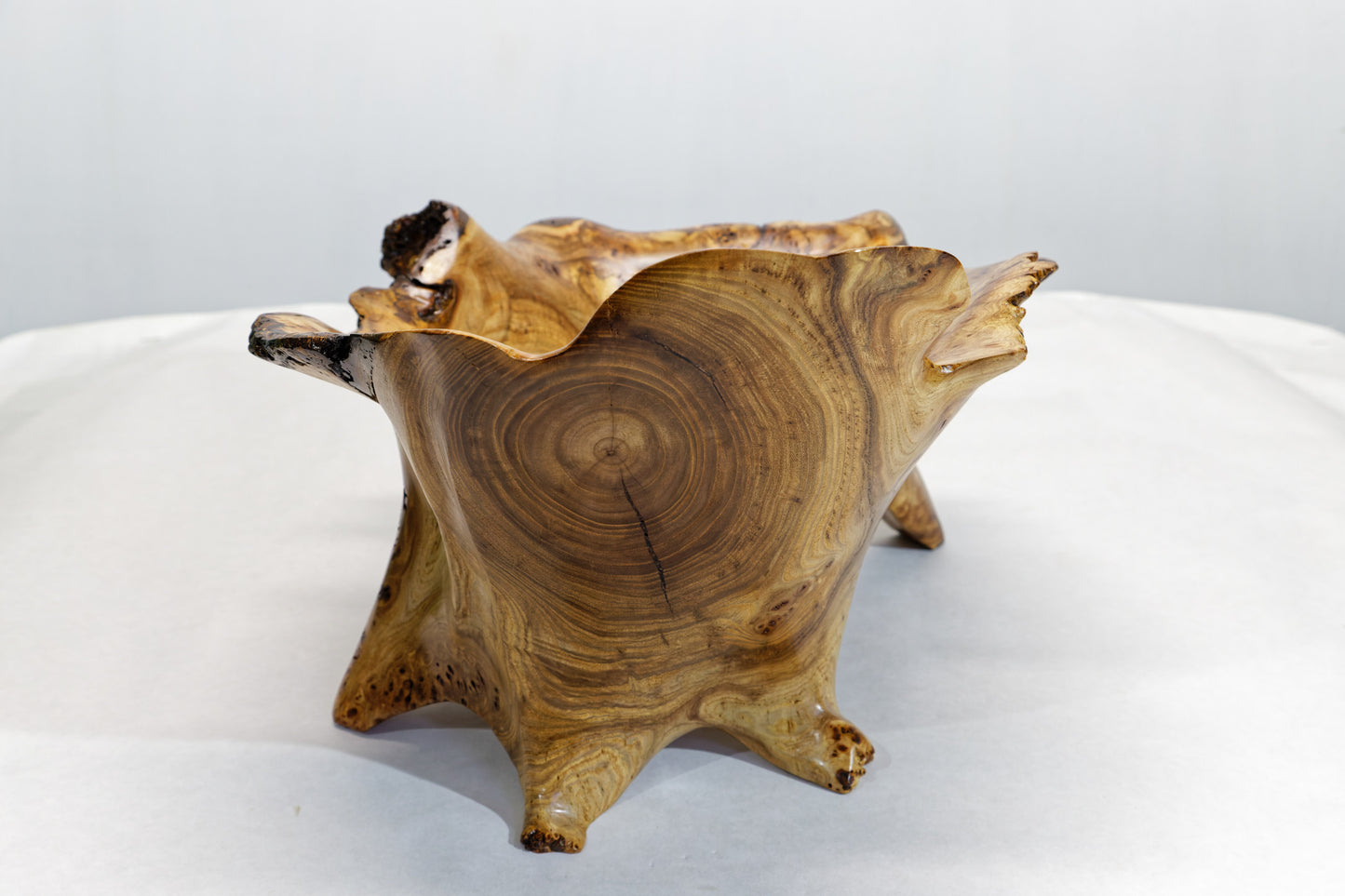 Burl wood bowl sculpture, bark, brown, maroon tinges, live edge, 14.5" long, 13 wide, 10 tall, 5# 11 oz, rich grain figuring, unique, 312-E1