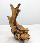 Rustic 2-part wood bowl catchall tabletop, exotic sculpture, asymmetric decor, willow live edge bark, 15" tall x 9 x 8, Wabi Sabi, 430-A