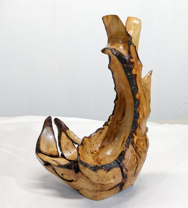 Rustic 2-part wood bowl catchall tabletop, exotic sculpture, asymmetric decor, willow live edge bark, 15" tall x 9 x 8, Wabi Sabi, 430-A