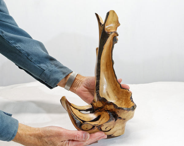 Rustic 2-part wood bowl catchall tabletop, exotic sculpture, asymmetric decor, willow live edge bark, 15" tall x 9 x 8, Wabi Sabi, 430-A