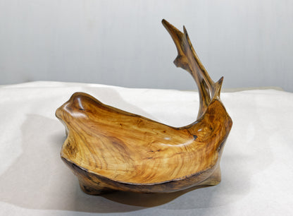 Exotic irregular wood bowl, cedar ocean driftwood, brown gold, branched, unique, rustic smooth, 17 inches long, 12 wide, 9 tall, 1 lb. 15 oz, Arrow arm bowl, 396-A