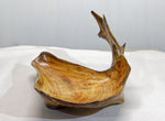 Exotic irregular wood bowl, cedar ocean driftwood, brown gold, branched, unique, rustic smooth, 17 inches long, 12 wide, 9 tall, 1 lb. 15 oz, Arrow arm bowl, 396-A