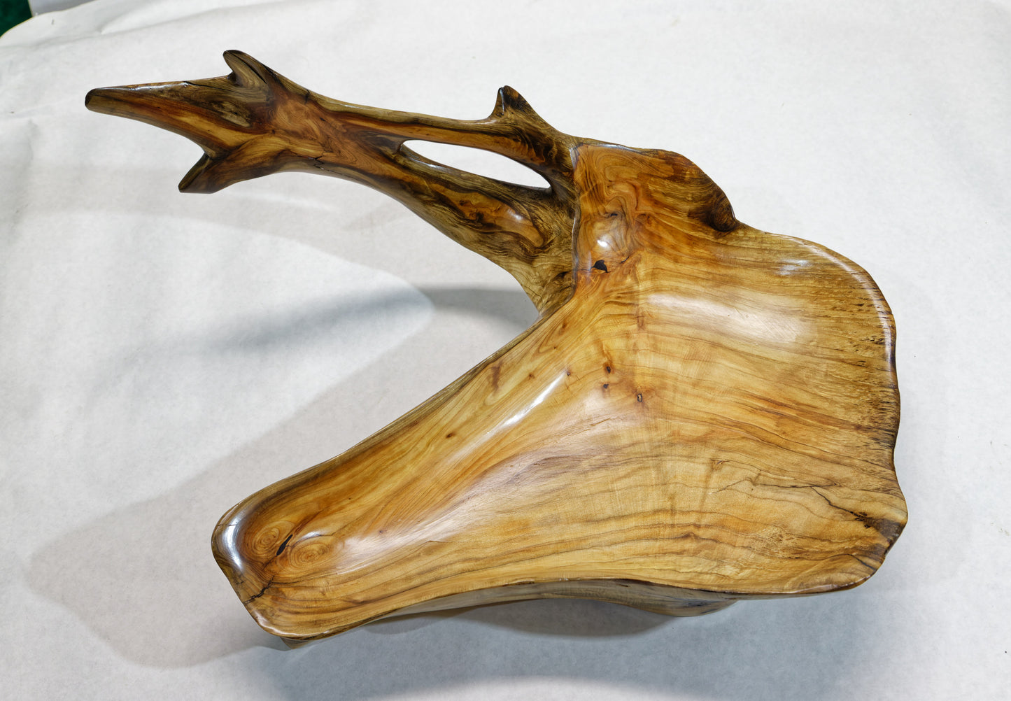 Exotic irregular wood bowl, cedar ocean driftwood, brown gold, branched, unique, rustic smooth, 17 inches long, 12 wide, 9 tall, 1 lb. 15 oz, Arrow arm bowl, 396-A