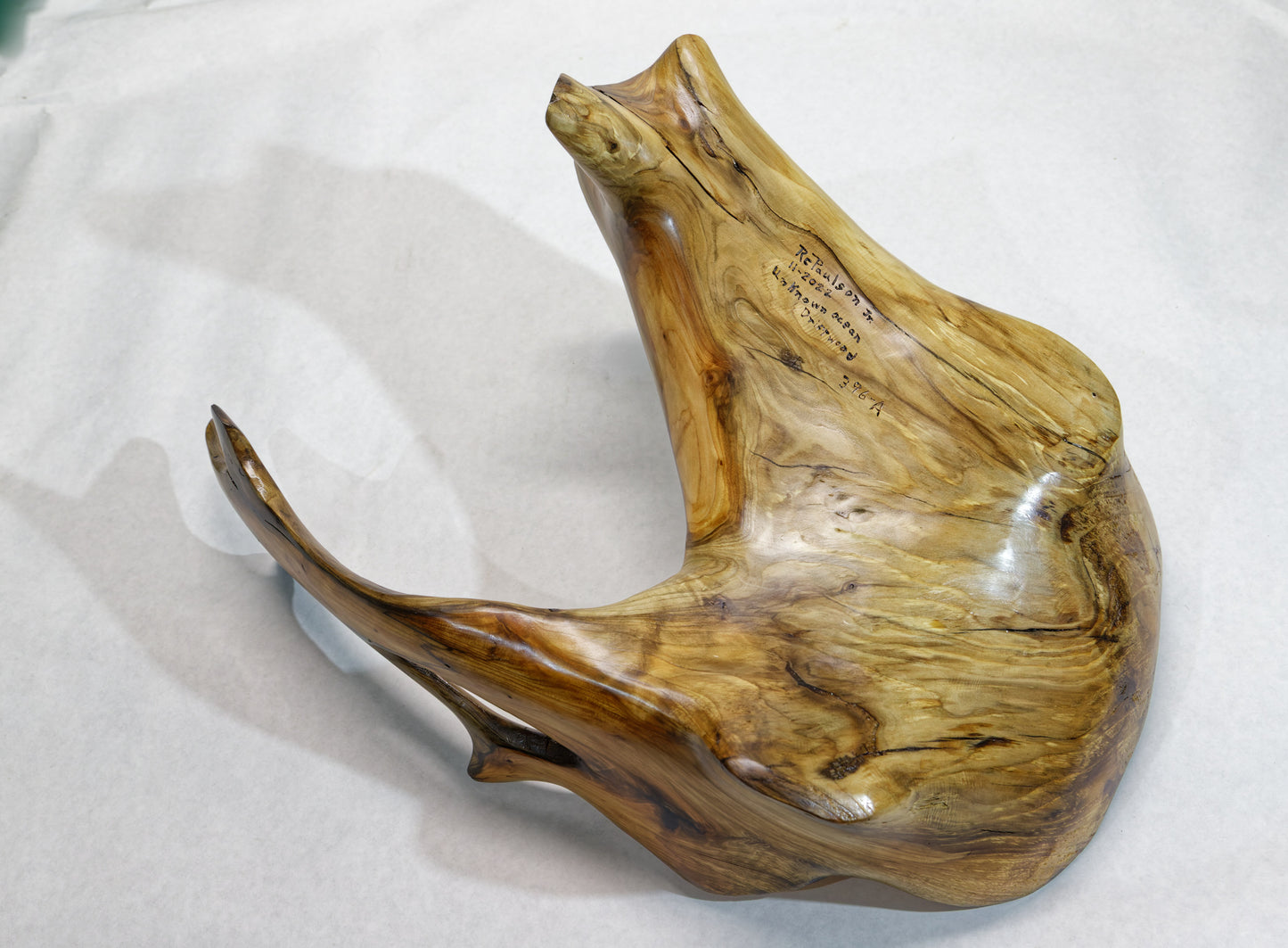 Exotic irregular wood bowl, cedar ocean driftwood, brown gold, branched, unique, rustic smooth, 17 inches long, 12 wide, 9 tall, 1 lb. 15 oz, Arrow arm bowl, 396-A
