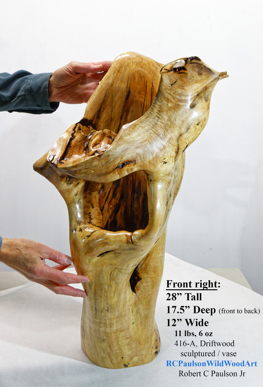 Decorative driftwood vase, floor or table sculpture, rustic wood vase, wood, exotic, unique, floor vase. 17.5 x 12 x 28'' tall, 11 lb. 6 oz, 416-A